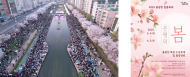 벚꽃축제, 불광천에서 …‘은평의 봄’ 개최