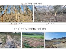 환경부, 야생동물 영업허가제 시행하고, 꽃사슴 유해야생동물로 지정