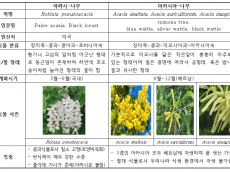 축산물품질평가원... 아카시아꿀(X) 아까시꿀(O)”  바로 알고 먹어야 ‘꿀맛’