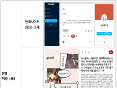 식약처, 단백동화스테로이드 등 온라인 불법판매 게시물 95건 적발