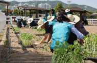 한국마사회, 환경의 날 ' 캠페인 개최...탄소포집 식물 ‘케나프’로 1천 평 미로정원 조성