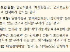 식약처-지자체, 온라인 부당광고 236건 적발