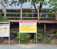 여름철 하천 불법행위 철퇴…강북구, 무단점용 집중 점검