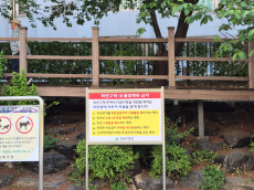 여름철 하천 불법행위 철퇴…강북구, 무단점용 집중 점검