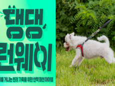 반려견과 함께하는 친환경 프로젝트 ‘댕댕런웨이 제로웨이스트 솔버톤’