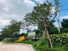 경기도 ‘평택 바람길숲’, 산림청 선정 ‘산책하기 좋은 도시숲’