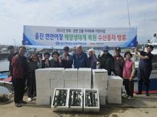 해양까지 영향을 끼친 대형 산불… 희망브리지, 울진 연안 해양 생태계 복원 나서