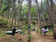 경기도, 가평 잣향기푸른숲, 포천 하늘아래치유의숲,동두 천치유의숲 등 4곳에는 운영
