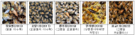 농촌진흥청 국립농업과학원, 12일 지자체 꿀벌자원육성지원센터 5개소에 젤리킹 원원여왕벌 공급