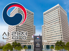 강원 삼척 산불 재발화... 진화율 76%