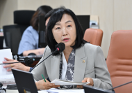 이영실 시의원, 한강은 실험실이 아니다... 한강버스, 충분한 시범 운항 없는 정식운항 강력 비판