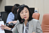 이영실 시의원, 한강버스, 현재 한강에 3척뿐인데 18일 정식운항...편도 127분에 대중교통 무색