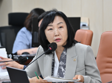 이영실 시의원, 한강버스 시험 대상으로 서울시민을 선택했나?