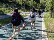 영등포구, 안양천 힐링 ... 신정교에서 5km 힐링 걷기대회 개최