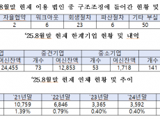 수출입은행 한계·부실기업 141곳에 3조 9천억 대출