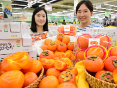 농협유통 하나로마트...가을에만 맛볼 수 있는 '청도 반시' 선보