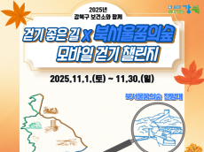 걷기 좋은 11월... 강북구 ‘북서울꿈의숲 모바일 걷기 챌린지’