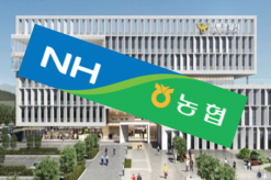 강릉지역 농협 조합장, 이사 선출 과정서 다른 조합장에 금품 제공 ‘구속’