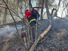 산림당국 충북 괴산 산불 진화 완료