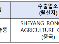 무신고 수입 ‘마늘종’ 회수 조치