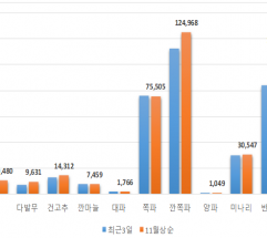 가락몰 김장재료 구매 비용 262,700원 소요 전망 ?