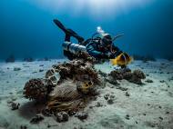 따뜻한 관심이 푸른 바다를 만든다, 시민 실천이 바꿀 해양의 미래