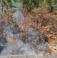 경북 의성 산불 진화 완료