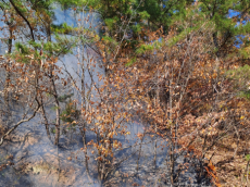 경북 의성 산불 진화 완료