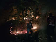 충남 태안 산불 진화 완료