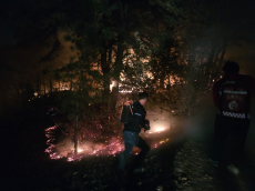 충남 태안 산불 진화 완료