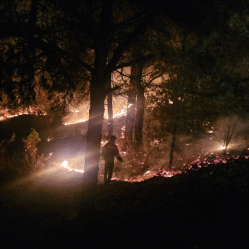 강원 인제 산불, 01시 기준 진화율 60%