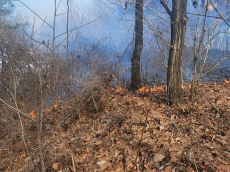 경기 여주 산불 발생 및 진화 완료