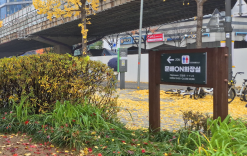 용산구“화장실 없어 불편했죠?”… 주민 손으로 만든‘문배ON 화장실’