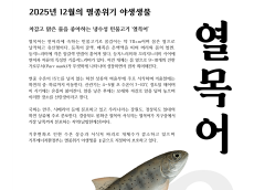 기후에너지환경부, 12월의 멸종위기 야생생물로 ‘열목어’ 선정