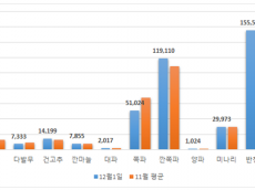 2025년 가락몰 김장비용 5차 조사결과 253,900원