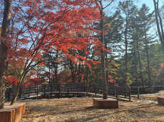 강북구, ‘우이령공원’ 1단계 조성 완료... 12월 17일 개장