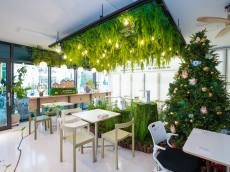 강북구 스마트팜 센터, ‘도심 속 힐링 공간’으로 변신