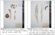 국립생물자원관, 12월 30일 고해상도 디지털 식물표본 1만 2천여 점 누리집 공개