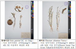 국립생물자원관, 12월 30일 고해상도 디지털 식물표본 1만 2천여 점 누리집 공개