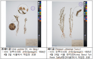 기후에너지환경부,  130년 전 식물표본, 디지털 사진으로 되살아나