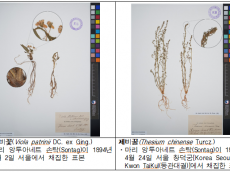 기후에너지환경부,  130년 전 식물표본, 디지털 사진으로 되살아나