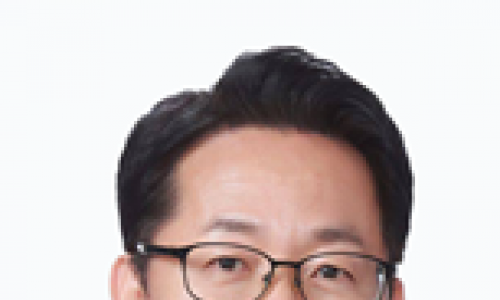 김문수, 2.29 여객기 사고조사, 조류충돌 ‘엔진안전기준’ 조사 누락 ?