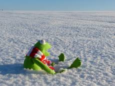 최강 한파 예고…동상 걸렸을 때 대처 방법은?