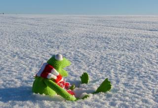 최강 한파 예고…동상 걸렸을 때 대처 방법은?