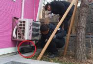 마포구, 스마트 IoT로 24시간 구서 방제 시스템 구축