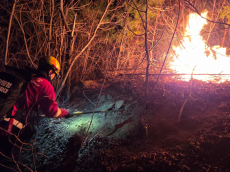 전남 광양 산불, 22일 05시 30분기준 진화율 90%