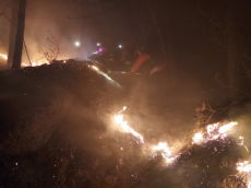 서울 노원 산불, 06시 30분 기준 진화율 15%