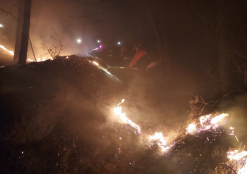 서울 노원 산불, 06시 30분 기준 진화율 15%