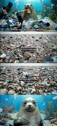 물개 ‘먹방’ 영상 화제…뭘 이렇게 맛있게 먹는지 보니? ‘충격’