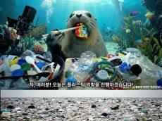 물개 ‘먹방’ 영상 화제…뭘 이렇게 맛있게 먹는지 보니? ‘충격’